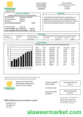 Panama Nexsun Power Corporation electricity business utility bill Word and PDF template